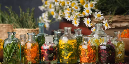 Making Tinctures & Glycerites [In-person & Virtual]