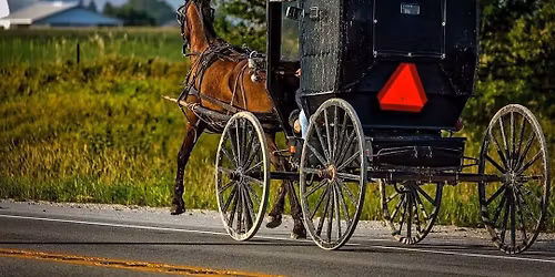 Dec 1 Kiwanis Mtg: Amish Buggy Crashes
