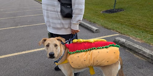 Halloween Packwalk and Costume Contest