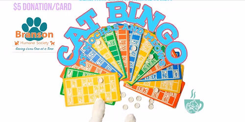 Cat Bingo 