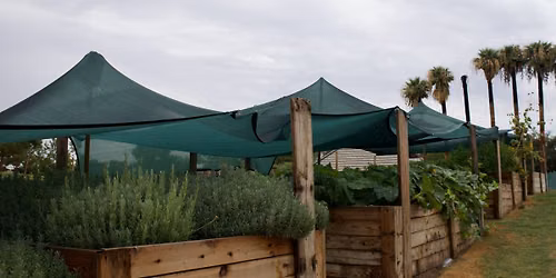 Friday at the farm, The Lavender Farm, a farm like \u201cnoneother\u201d