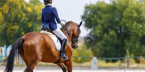 Mataffin - Dressage Festival Show