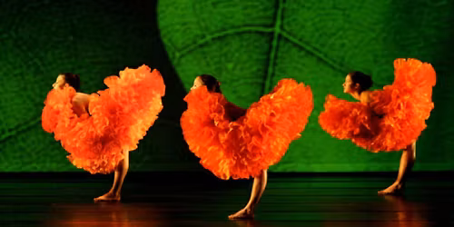 Parking MOMIX: Bontanica