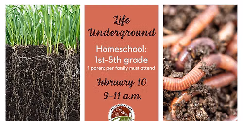 Homeschool 1st-5th: Life Underground