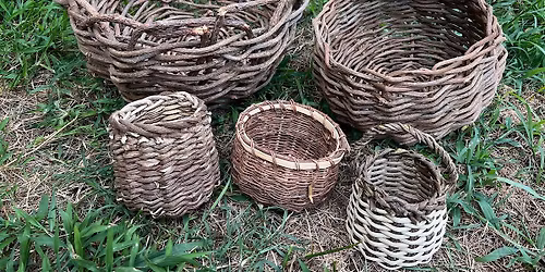 Weave Kudzu Vines Into a Basket