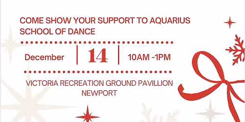 Christmas fundraiser