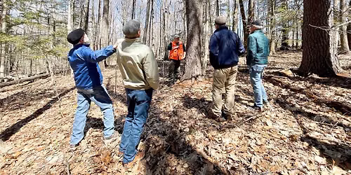 Reading the Forested Landscape