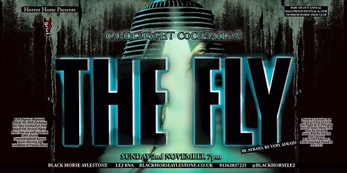 HORROR HORSE presents THE FLY