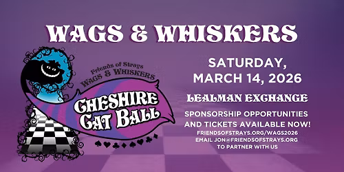 Wags & Whiskers: Cheshire Cat Ball