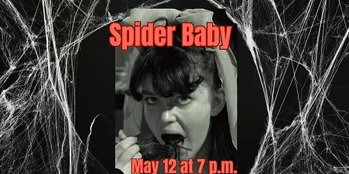 Kooky Tuesday- Spider Baby