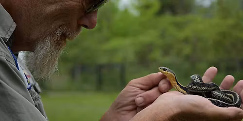 A Lifelong Journey in Reptile Conservation: Snakes of Mnidoo-gamii with Steve Marks