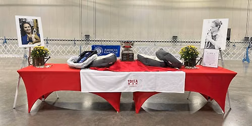 TDCCA Toy Specialties