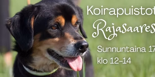 Koirapuistotreffit Rajasaaressa