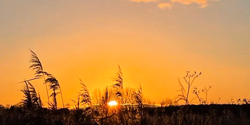 Syng Solen Ned ved Damhuskanten