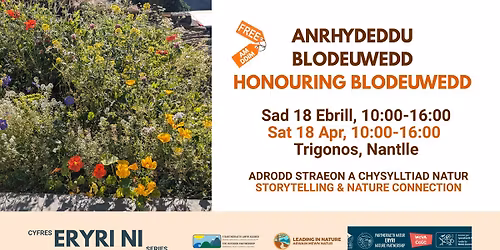 Honouring Blodeuwedd