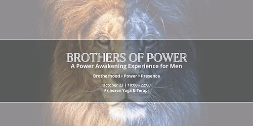 BROTHERS OF POWER: A Power Awakening Experience