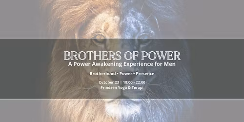 BROTHERS OF POWER: A Power Awakening Experience