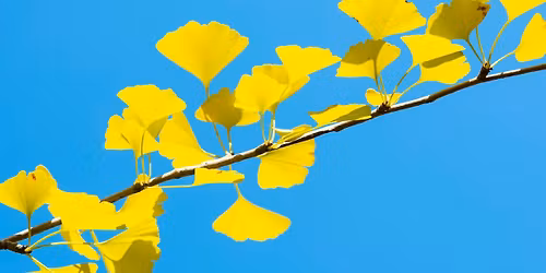 In Conversation: Planting for Peace event, University of Stirling