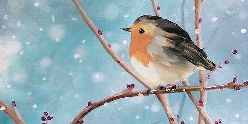 Red, Red Robin Acrylic Canvas Painting Experience
