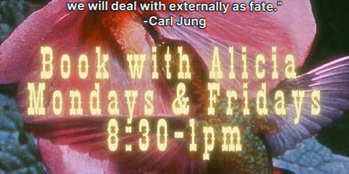 Integrated Astrology, Herbalism & Energy Healings with Alicia