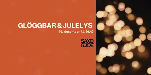 Gl\u00f6ggbar & julelys i Saxogade 