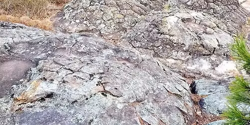 Hitting the Trail: New Year Resolution Hike