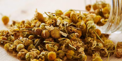 Herbs for the Nervous System + Tea Formulation\/Making