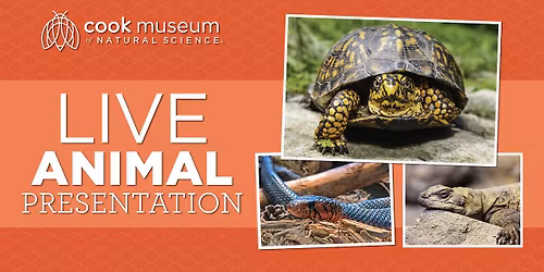 Live Animal Presentation