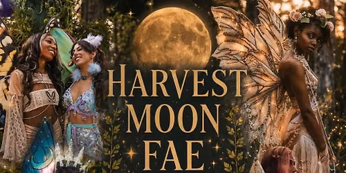 Harvest Moon Fae Market \ud83e\uddda\ud83c\udffd\u200d\u2642\ufe0f \u2728\ud83e\uddda\u200d\u2640\ufe0f