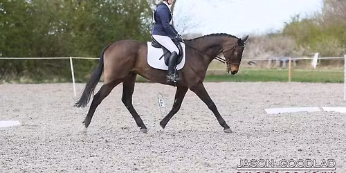 Unaffiliated Dressage 