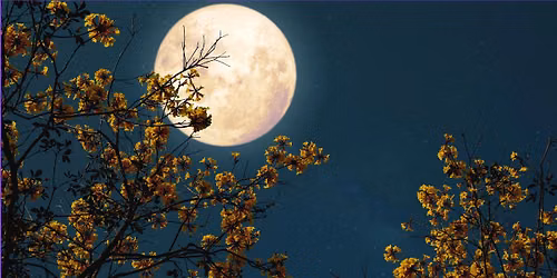 Full Moon Yoga