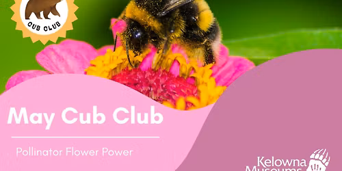 Cub Club: Pollinator Flower Power