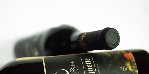 Wine Tasting and Tour - Explore Our Vintages