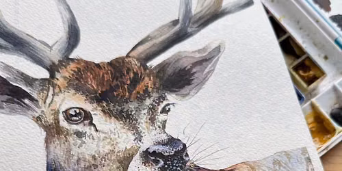 Stag Watercolour Workshop with Rita Gould
