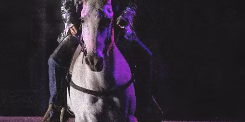 Jarrod Morris in Plano