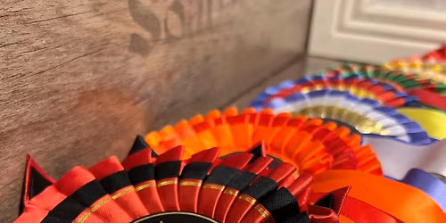 Oulun Koirakerhon Loppiais-Match Show