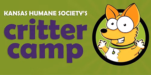 Critter Camp - Art & Animals