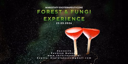 Forest & Fungi Experience. Warsztaty ekoterapeutyczne