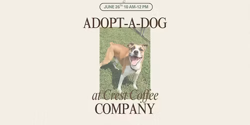 Adopt-a-Dog at Crest Coffee Company