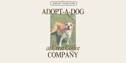 Adopt-a-Dog at Crest Coffee Company