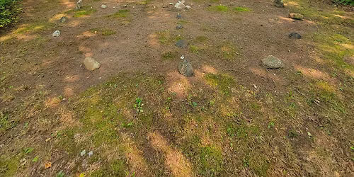 Tending the Medicine Wheel