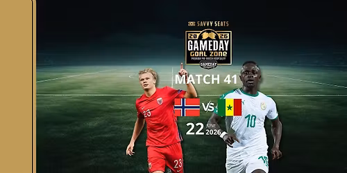 Norway vs Senegal Game Day Goal Zone by Savvy Seats