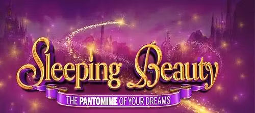 Sleeping Beauty New Theatre Cardiff