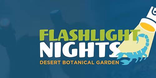 Flashlight Nights: Summer Edition