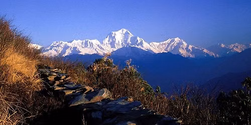 Kailash Mansarover Tour Every joining Groups Departure