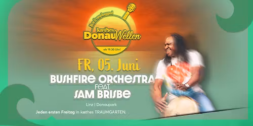 BUSHFIRE ORCHESTRA feat. SAM BRISBE live @ kaethes DONAUWELLEN