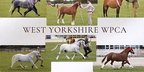 WYWPCA BRONZE MEDAL SUMMER SHOW