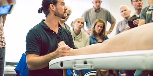 Anatomy Trains Structural Essentials: Arches and Legs