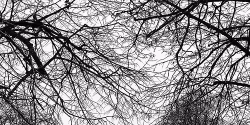  ✨ Jul på Kollerup Gods ✨