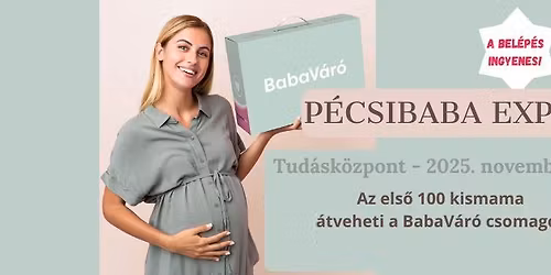 P\u00e9csibaba Exp\u00f3 bab\u00e1t v\u00e1r\u00f3knak a Tud\u00e1sk\u00f6zpontban